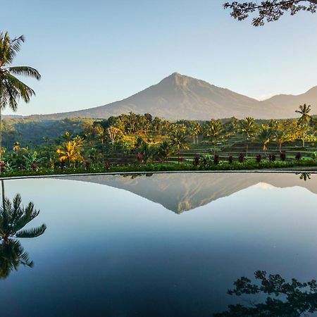 Ijen Resort And Villas - The Hidden Paradise Banyuwangi  Exterior foto