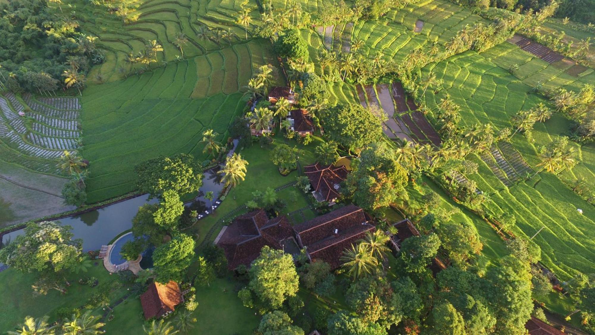 Ijen Resort And Villas - The Hidden Paradise Banyuwangi  Exterior foto